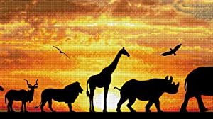 Kit de pintura Diamondz African Sky