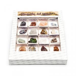 Caja de colección de minerales del mundo