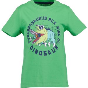Camiseta de manga corta estampada dinosaurio para niño